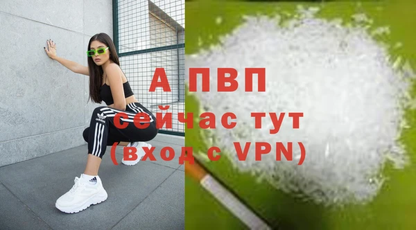 стаф Кукмор
